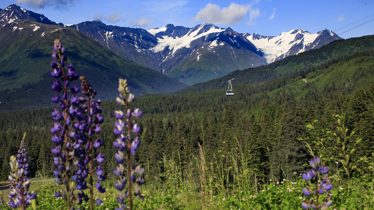 Photo of Outdoor in Alyeska