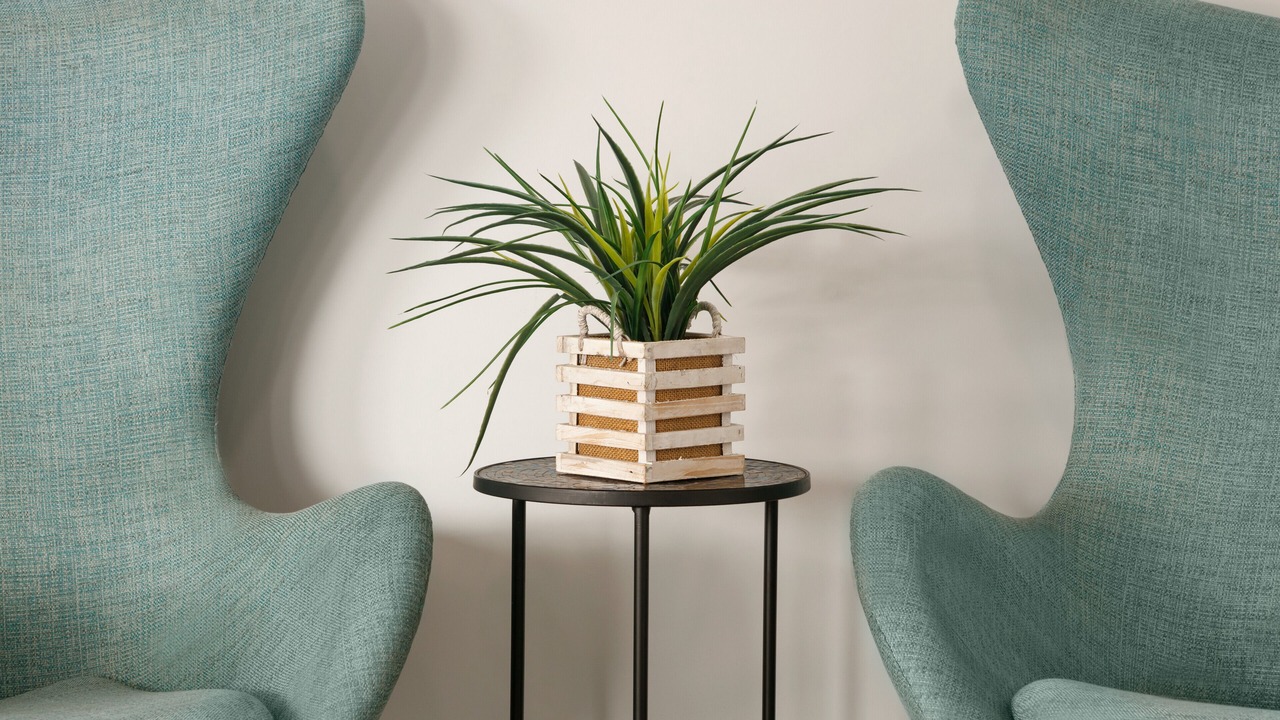 Photo of Others in Westside Santa Cruz