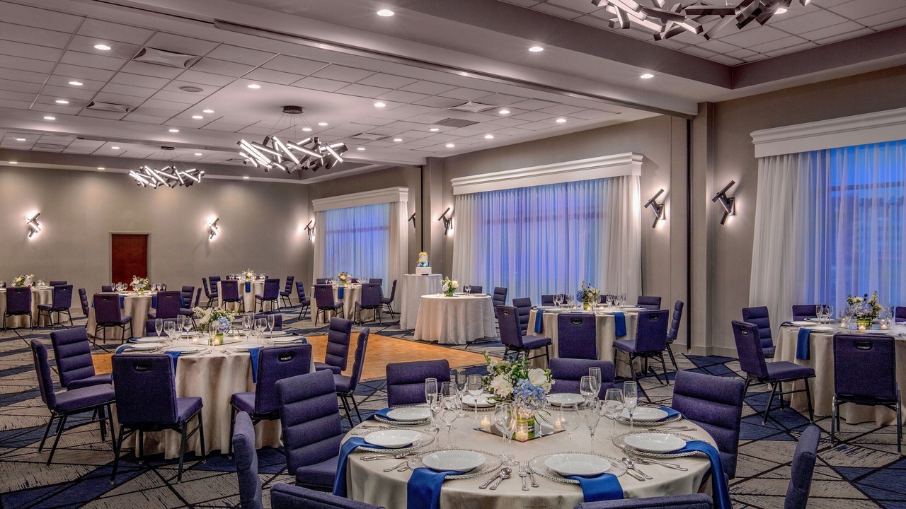 Photo of Others in Marlborough