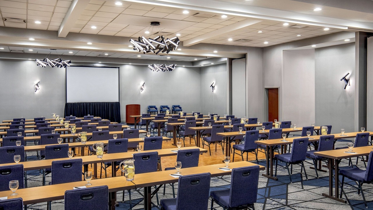 Photo of Others in Marlborough