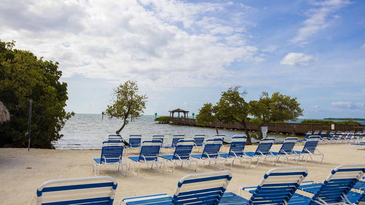 Photo of Others in Tavernier