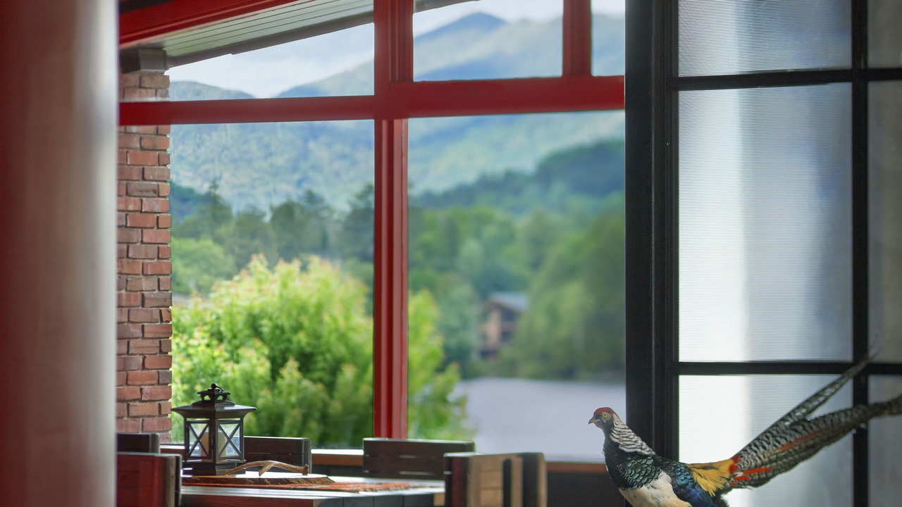 Photo of Others in Lake Placid