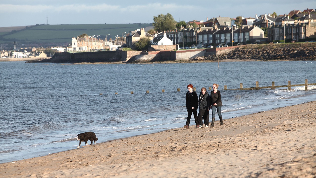 Photo of Others in Bonnybridge