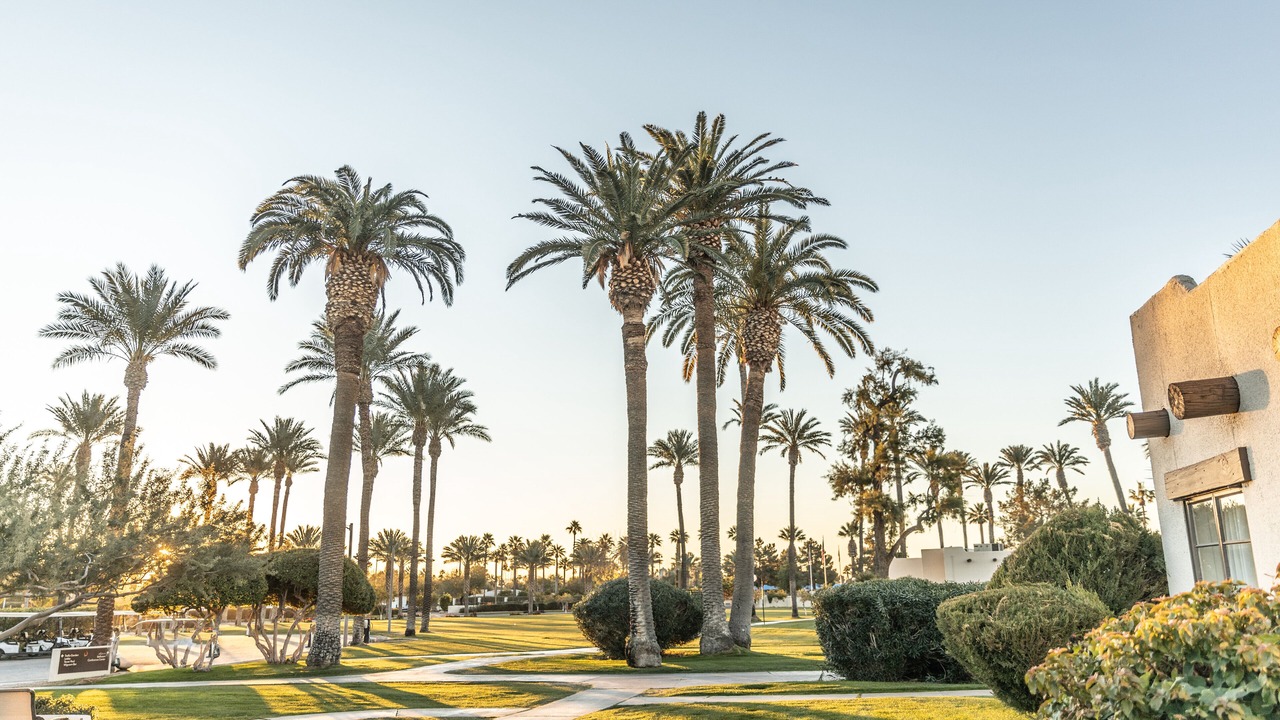 Photo of Outdoor in Litchfield Park