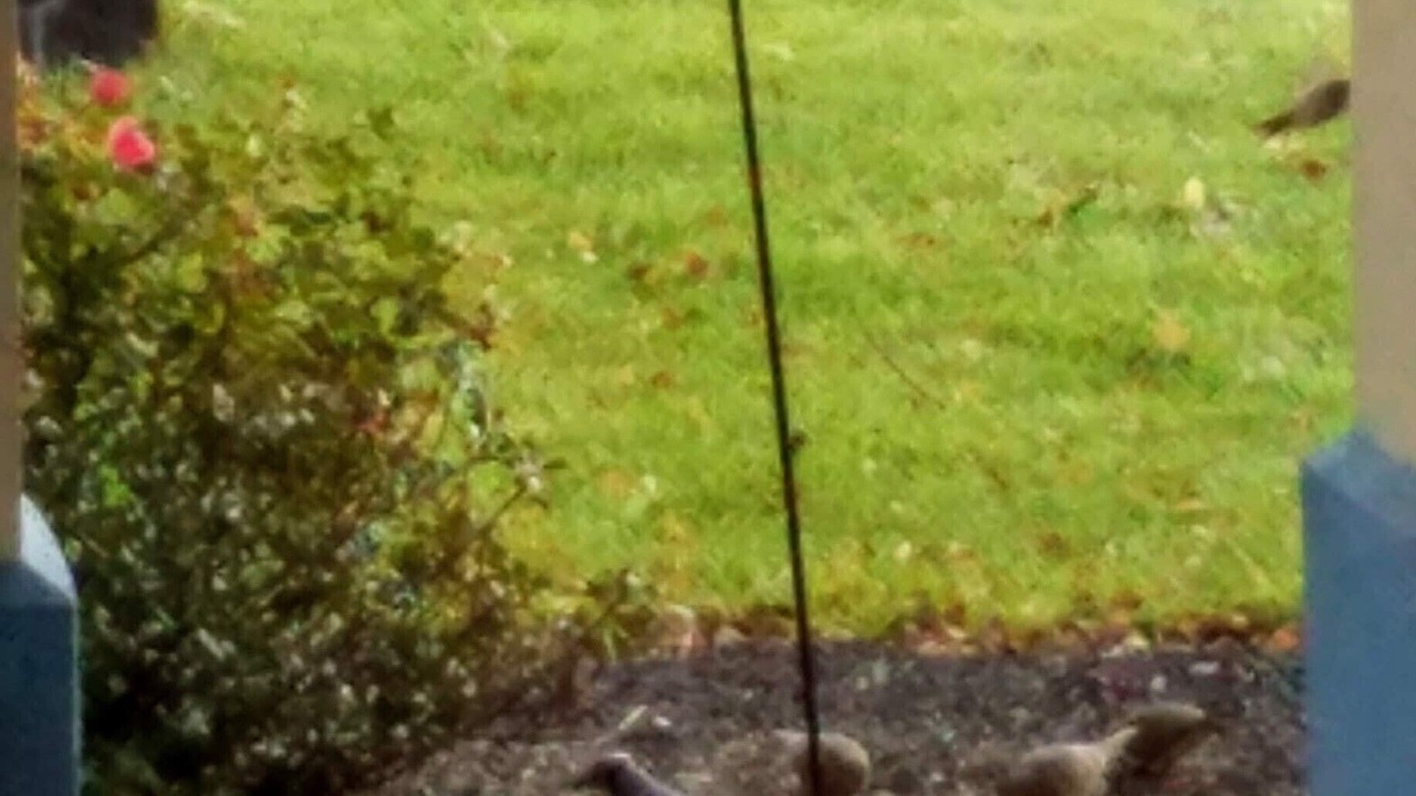 Photo of Outdoor in Reading