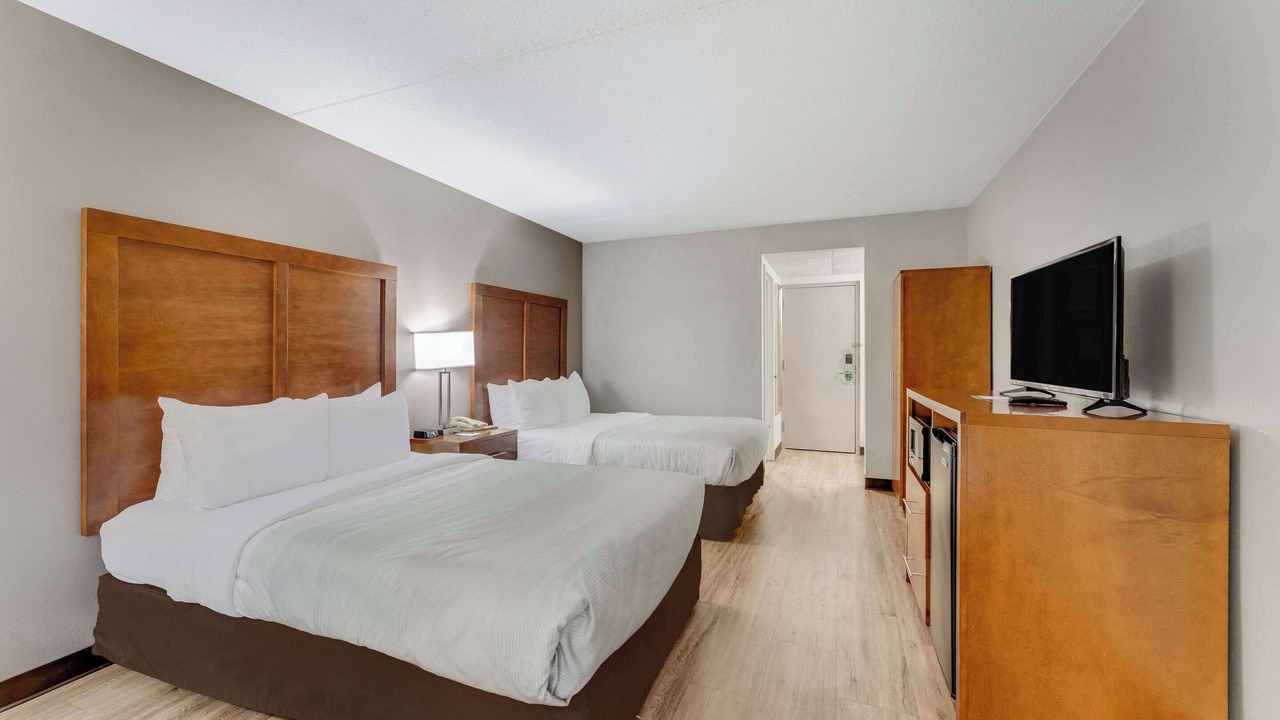 Photo of Others in Palmer