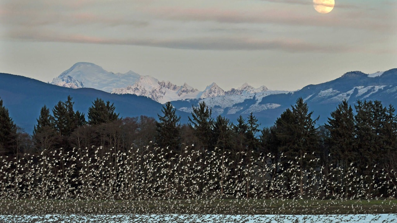 Photo of Outdoor in Mount Vernon