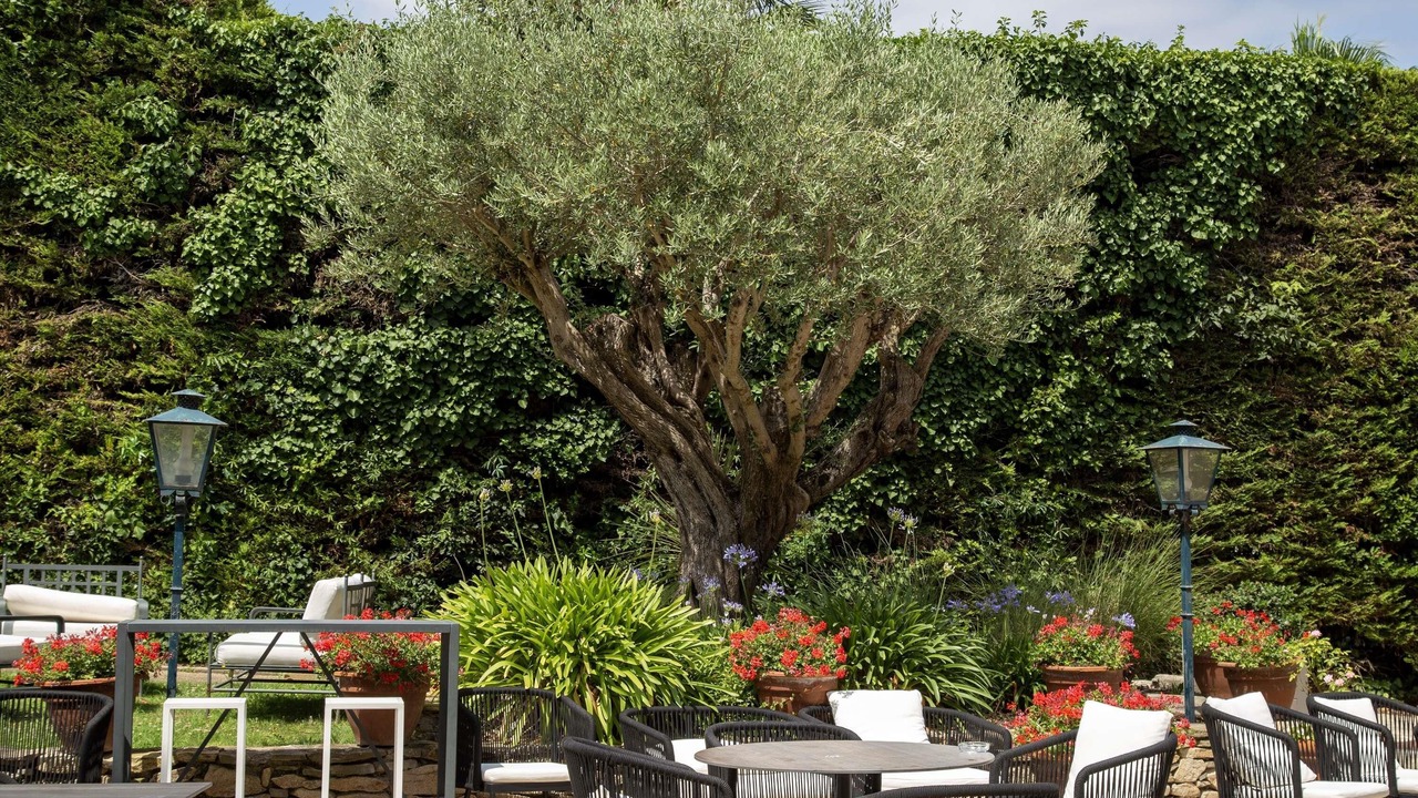 Photo of Outdoor in Carcassonne