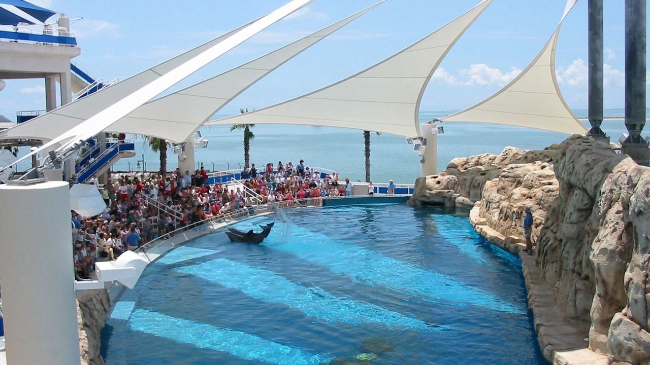 Photo of Outdoor in South Side