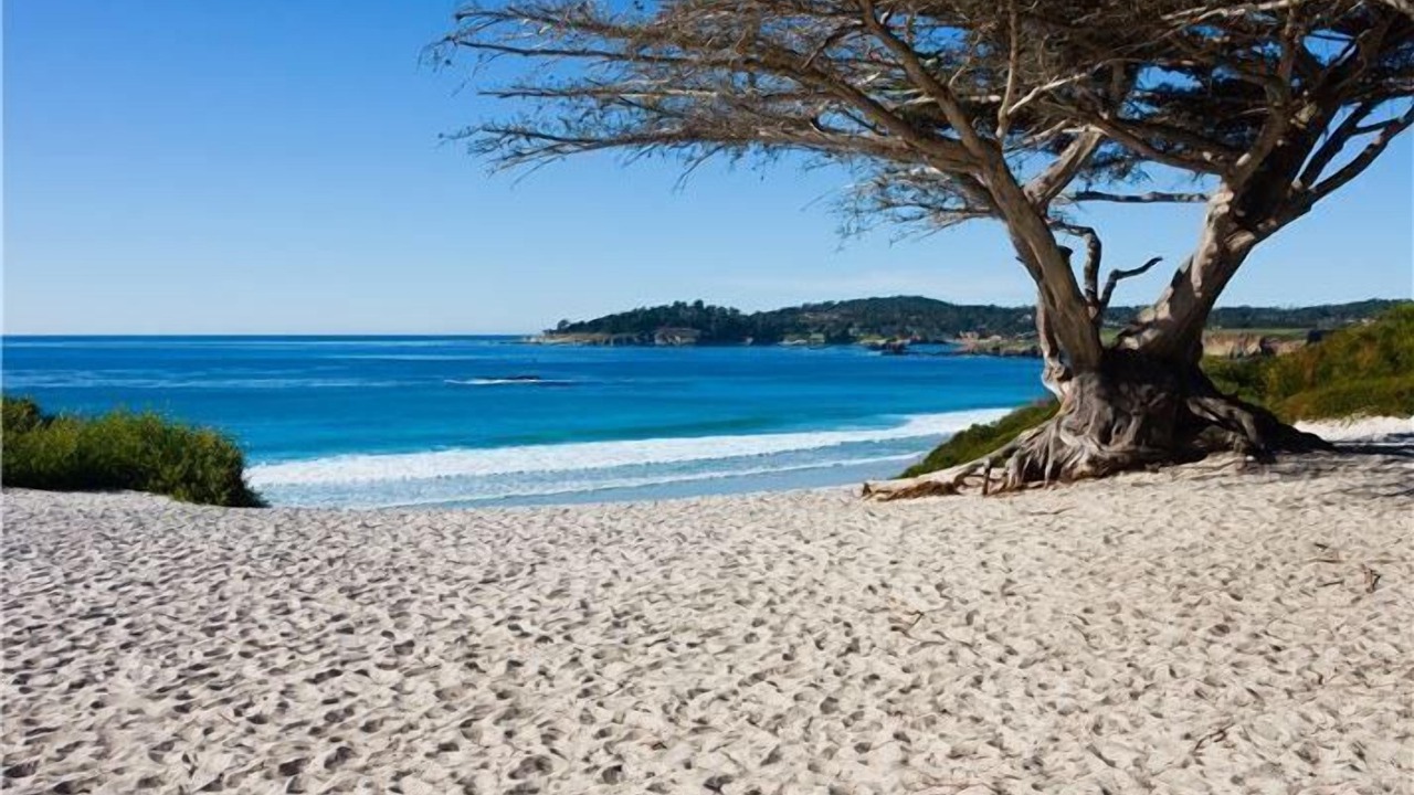 Photo of Outdoor in Northwest Carmel