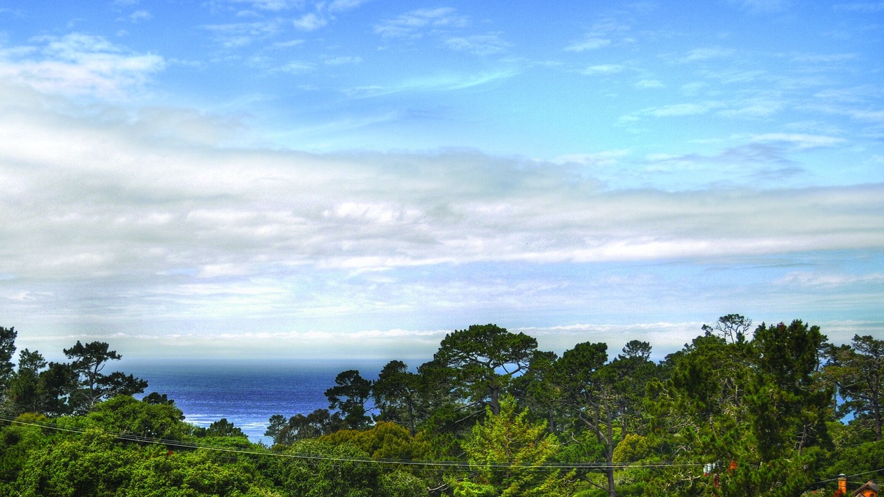 Photo of Outdoor in Northwest Carmel