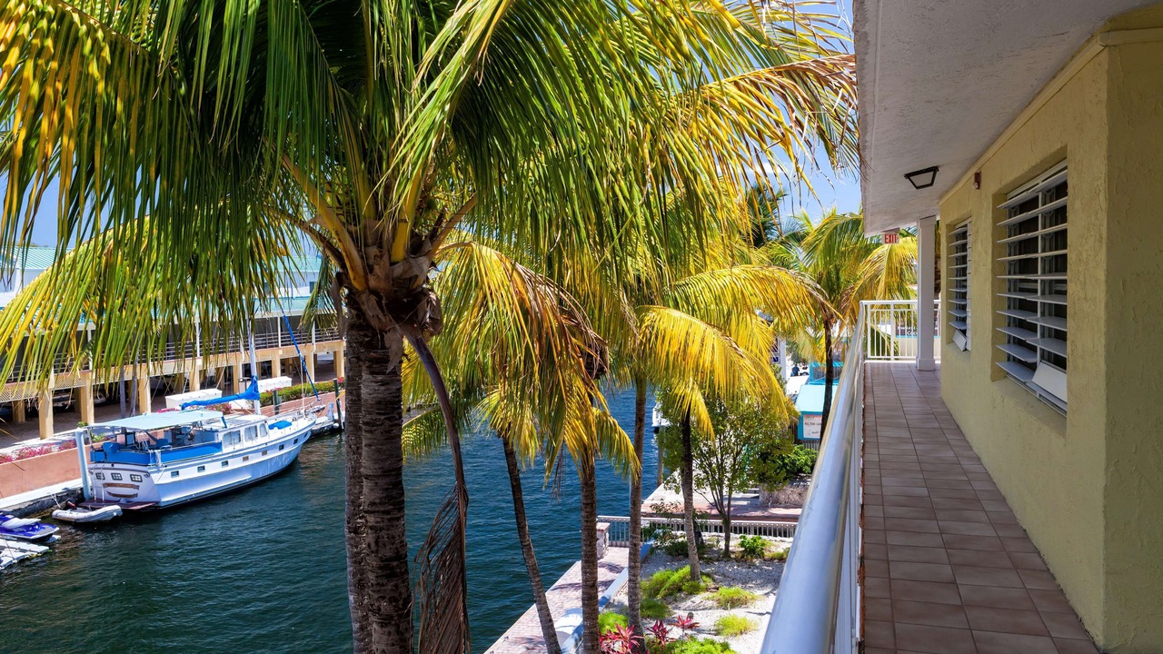 Photo of Outdoor in Key Largo