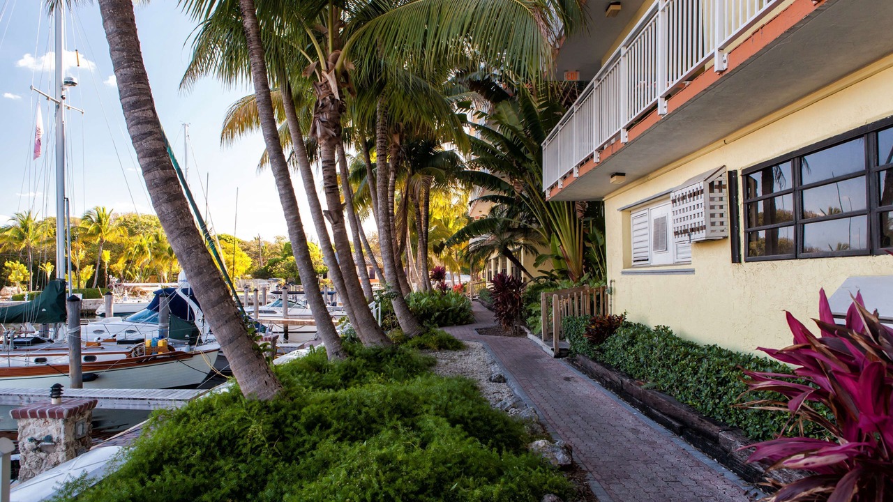 Photo of Outdoor in Key Largo