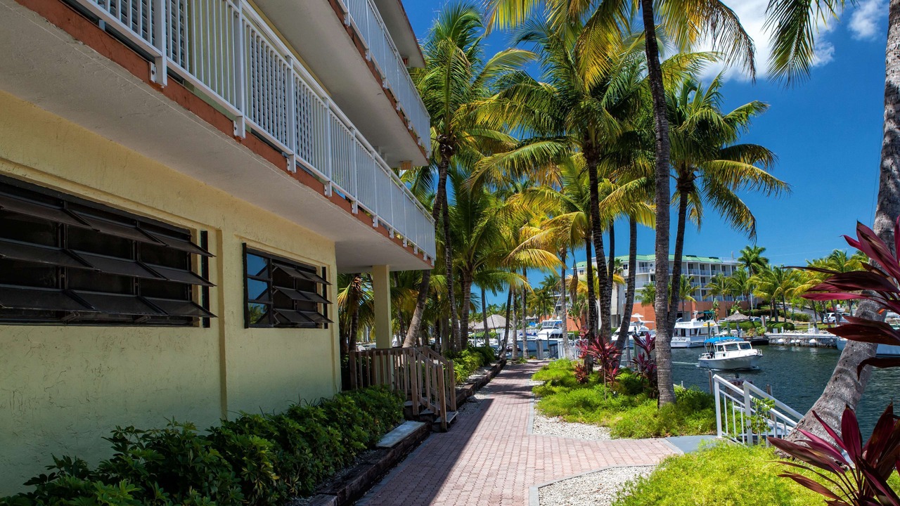 Photo of Outdoor in Key Largo