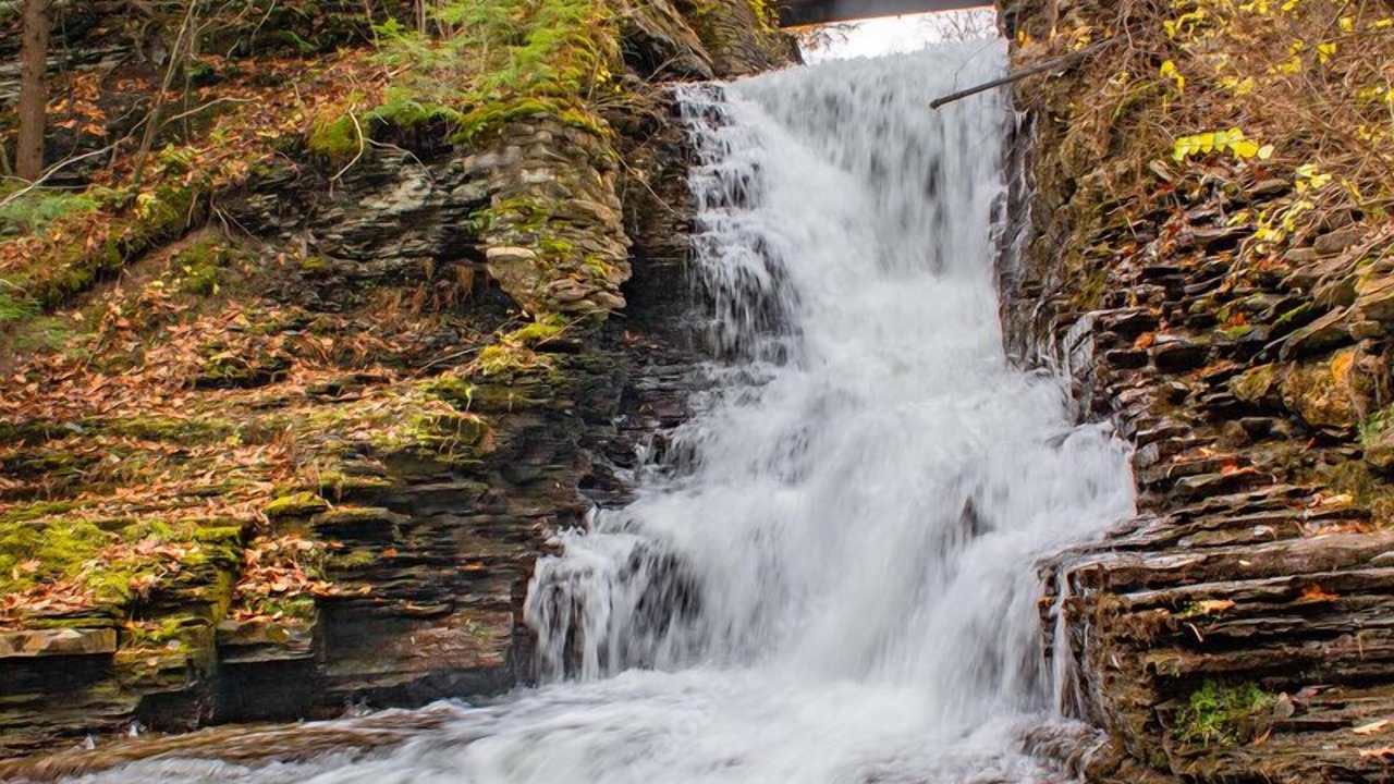 Photo of Others in Ithaca