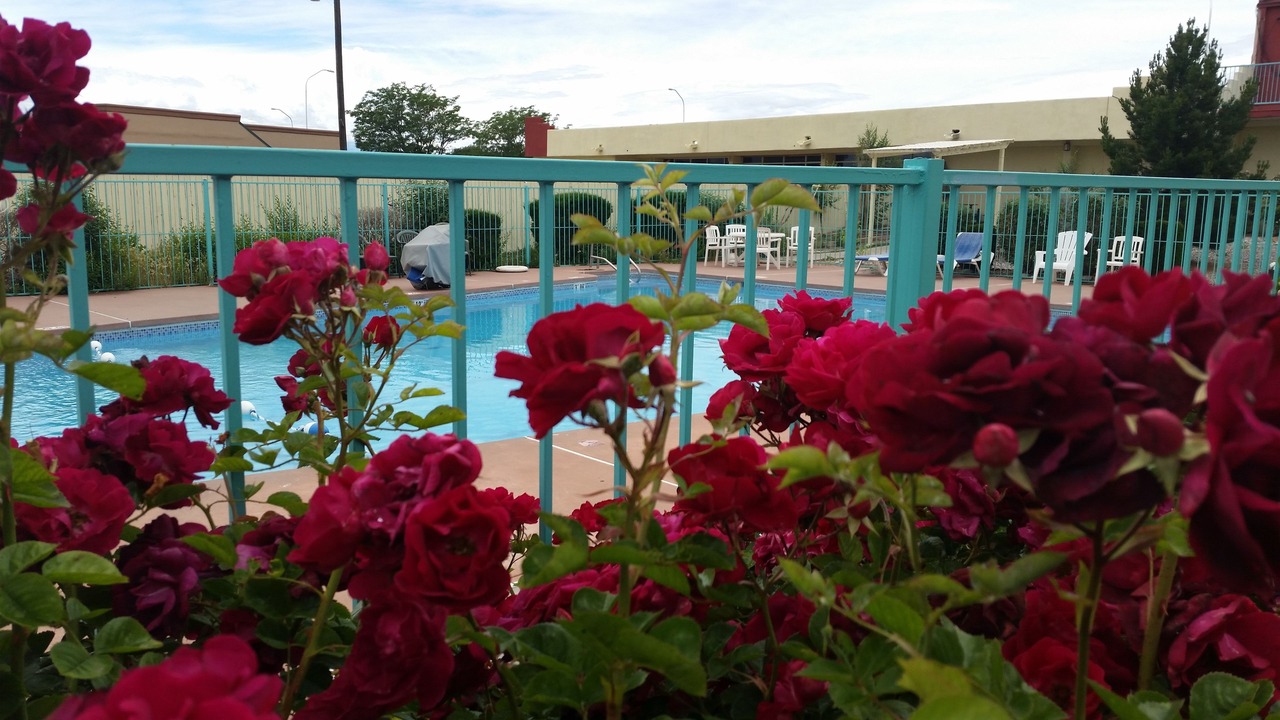 Photo of Outdoor in Southside