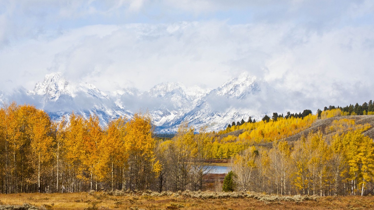 Photo of Outdoor in Jackson Hole