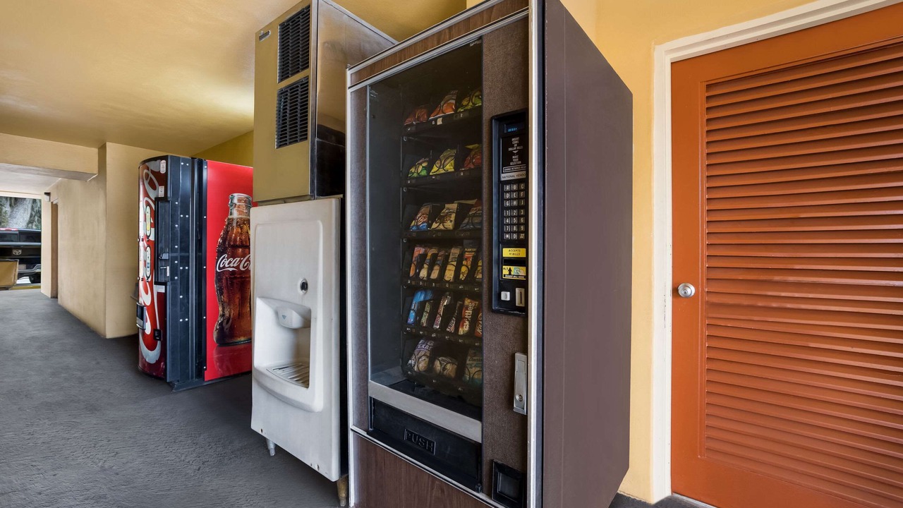 Photo of Others in Boys Ranch