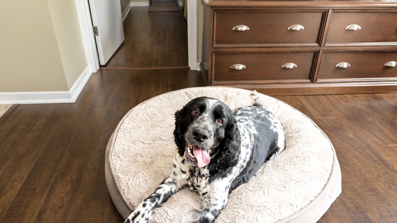 Photo of Others in Kingston