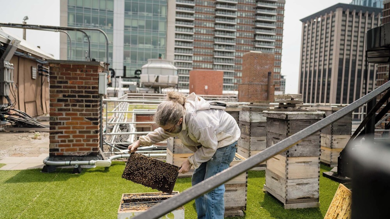 Photo of Outdoor in Back Bay