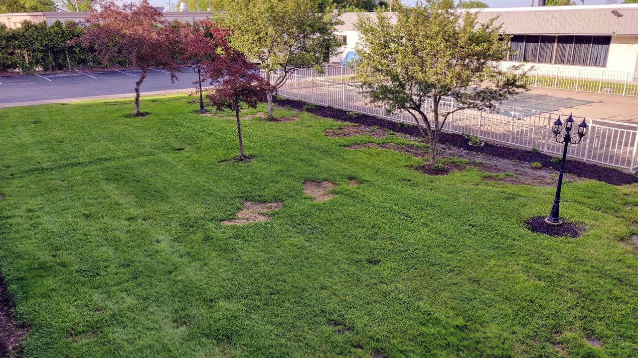 Photo of Outdoor in Elyria