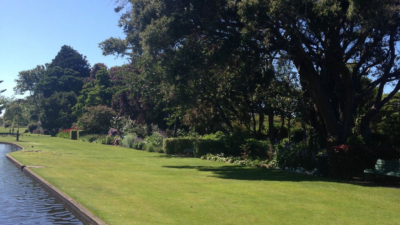 Photo of Others in Hawera