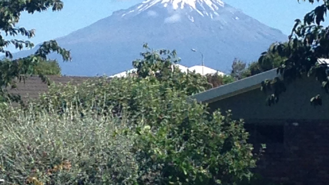 Photo of Others in Hawera