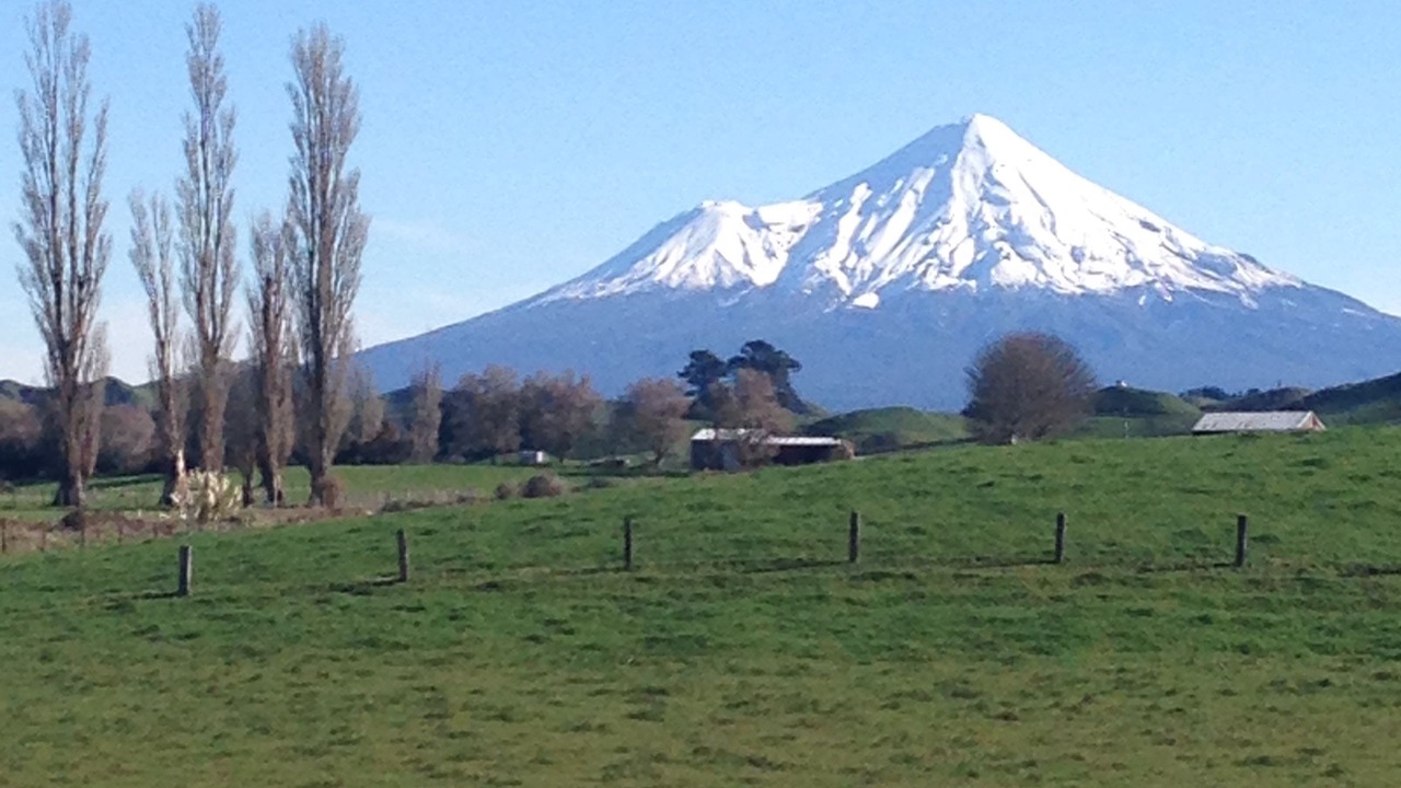 Photo of Others in Hawera