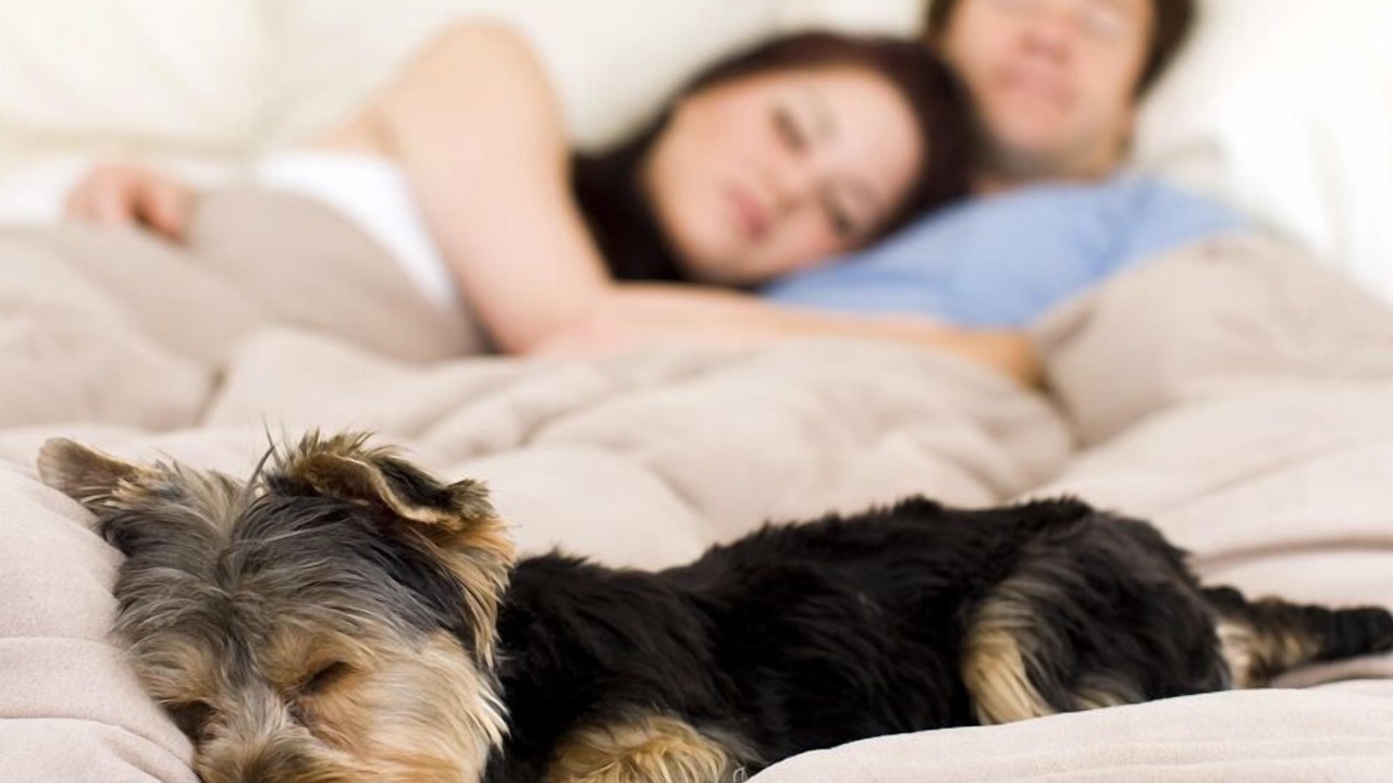 Photo of Bedroom in Sequim