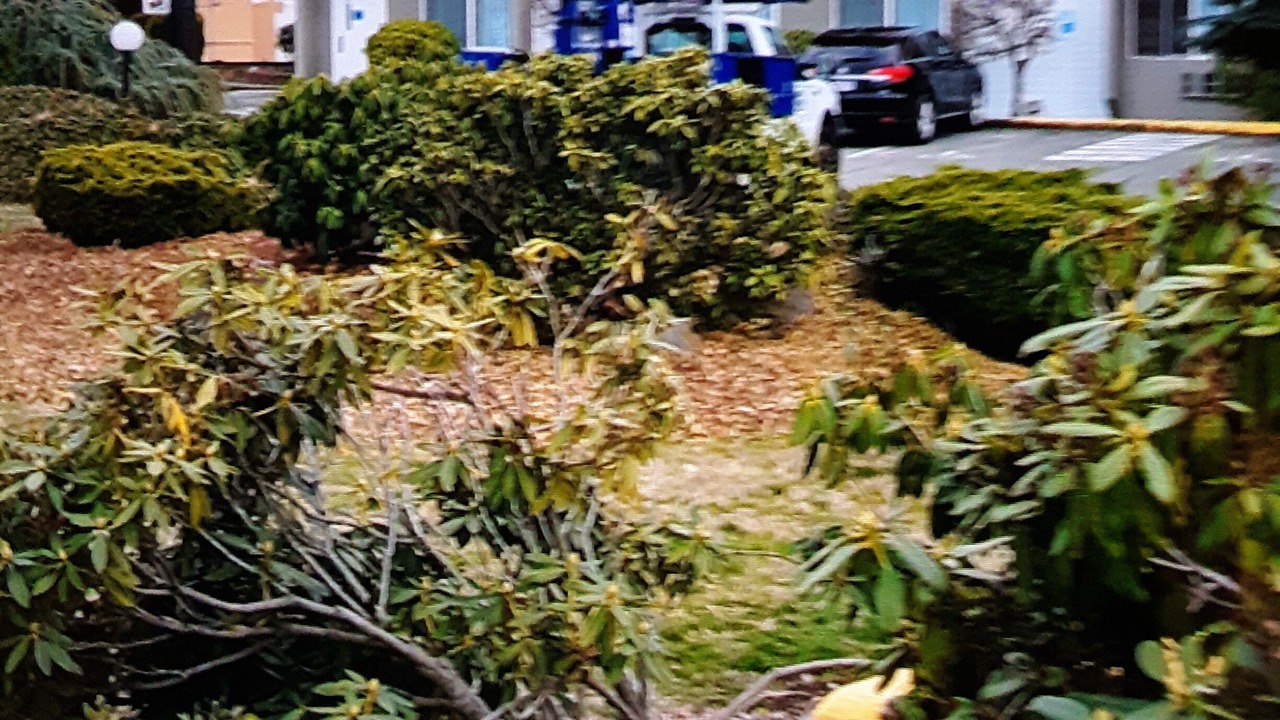 Photo of Outdoor in Sequim