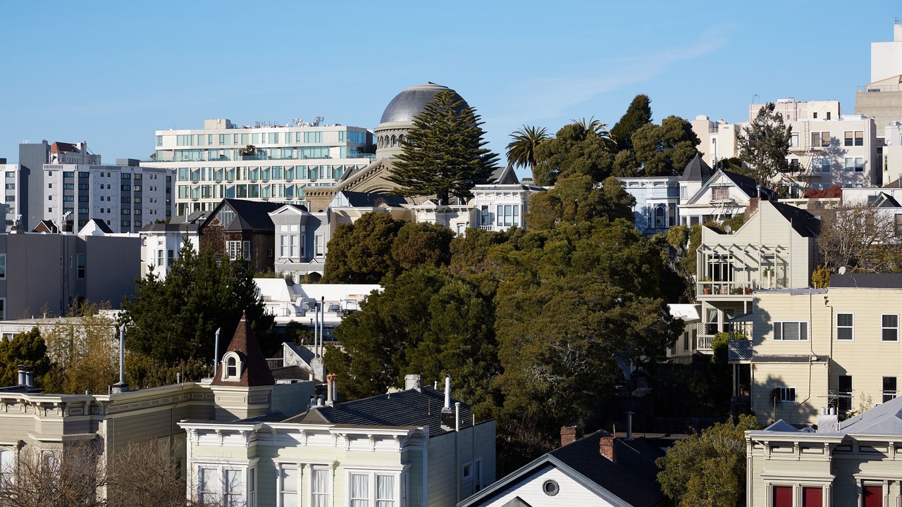 Photo of Others in Lower Pacific Heights