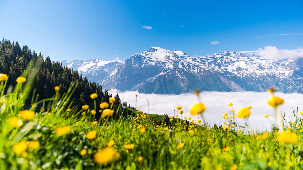 Photo of Outdoor in Engelberg