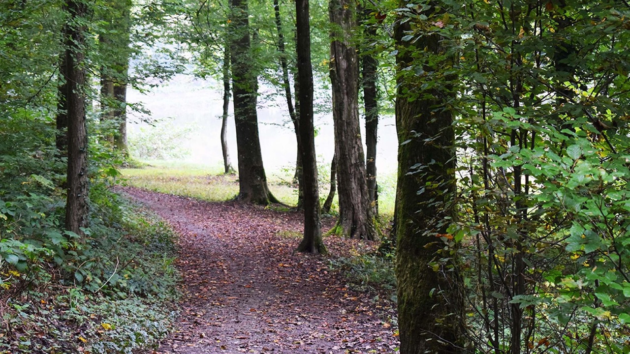 Photo of Others in Fourmies