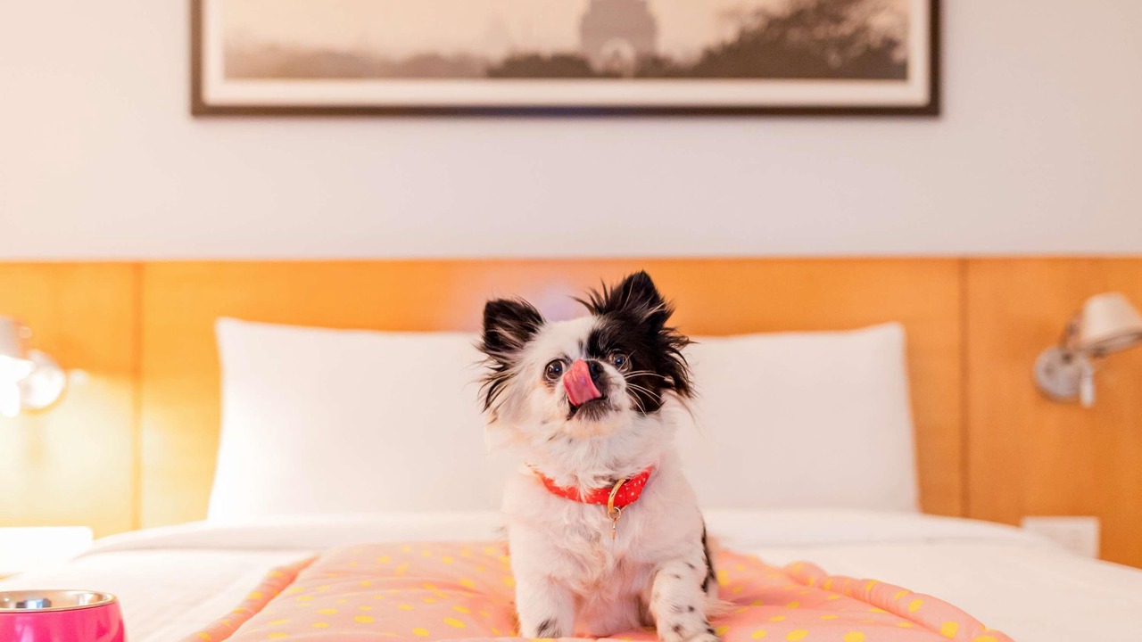 Photo of Others in Fourmies