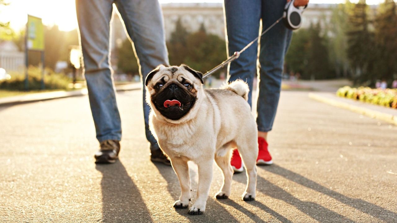 Photo of Others in Downtown Portland