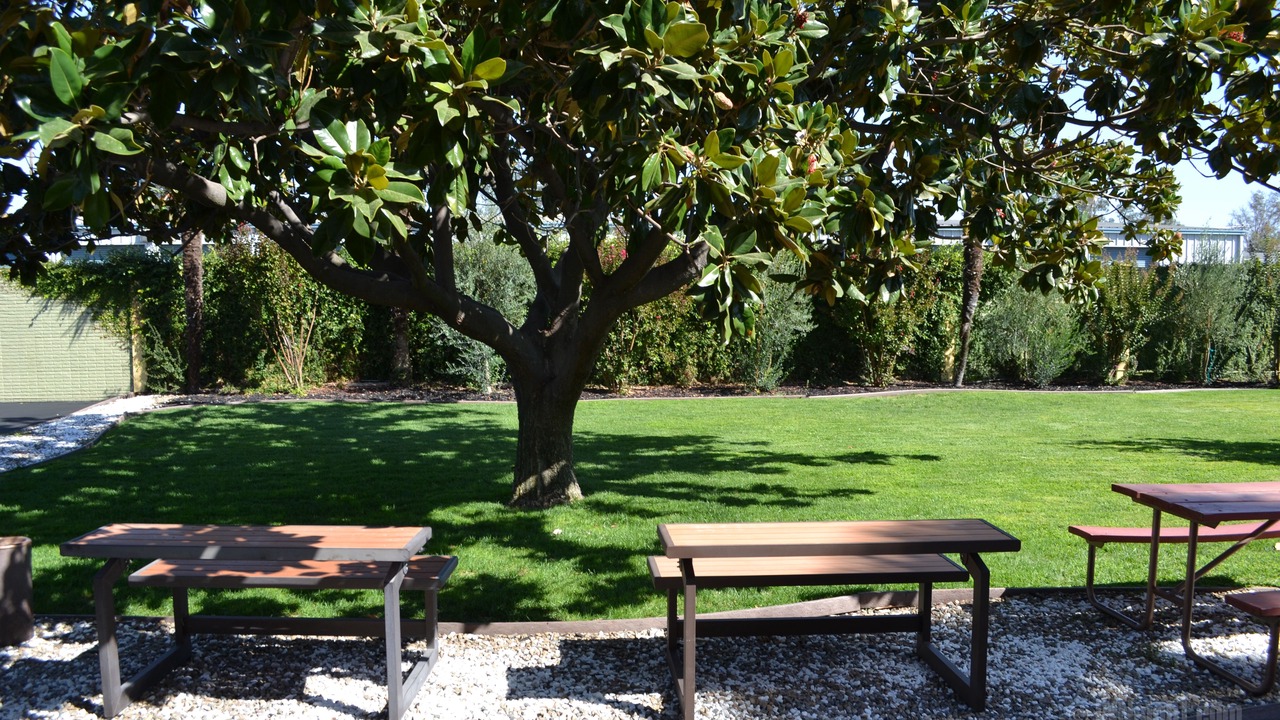 Photo of Others in Lodi