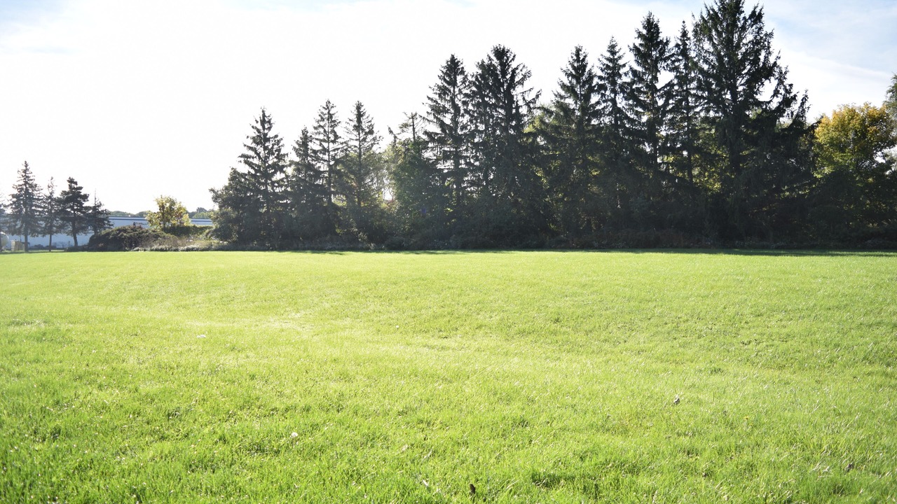 Photo of Outdoor in Brockport