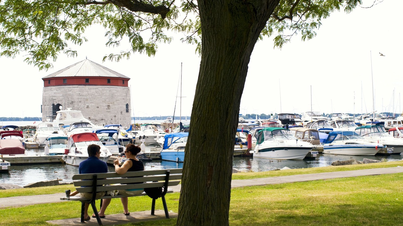 Photo of Others in Kingston
