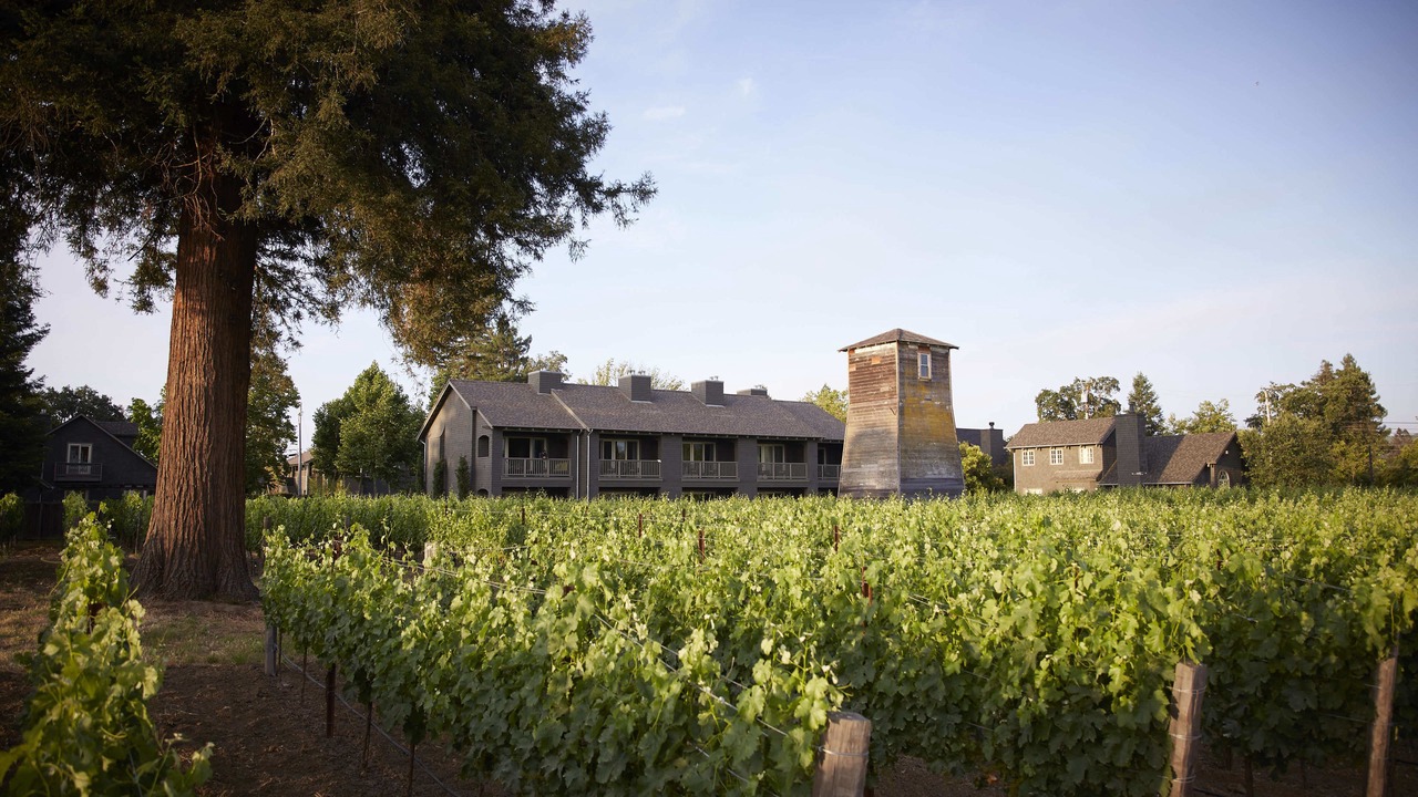 Photo of Outdoor in Napa