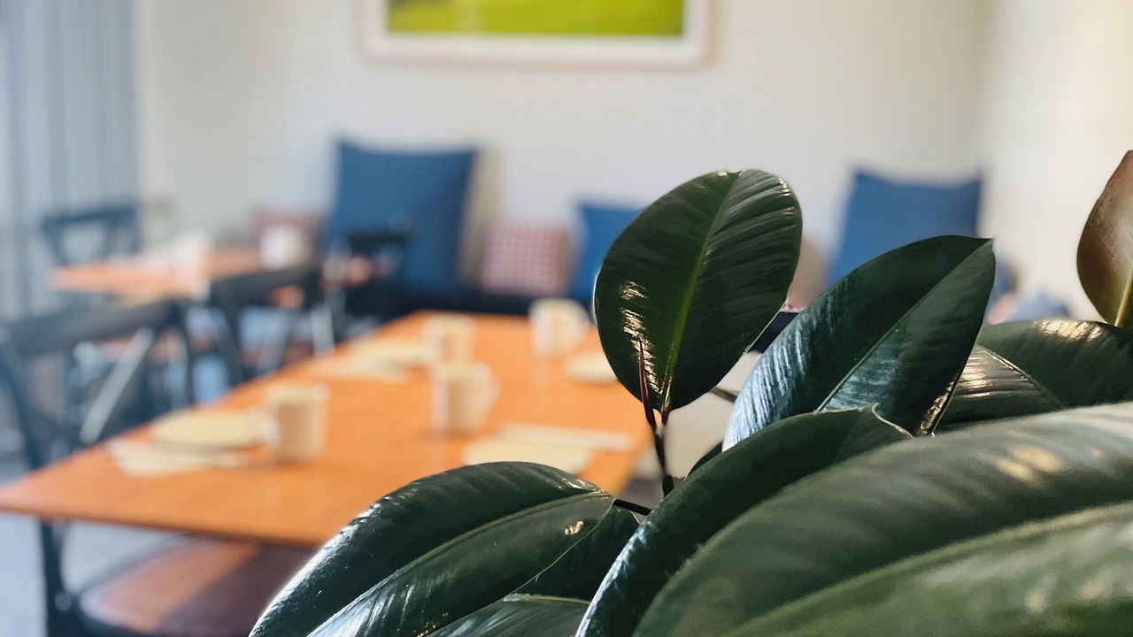 Photo of Others in Traralgon