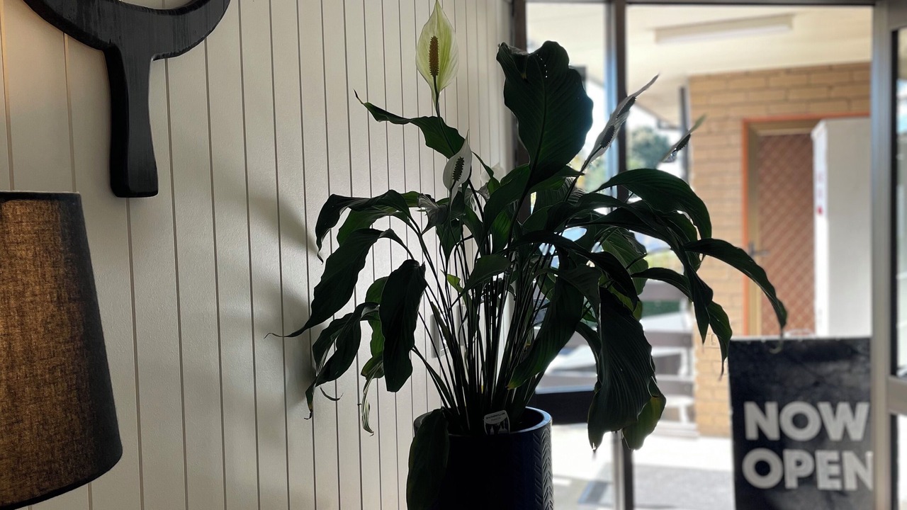 Photo of Others in Traralgon