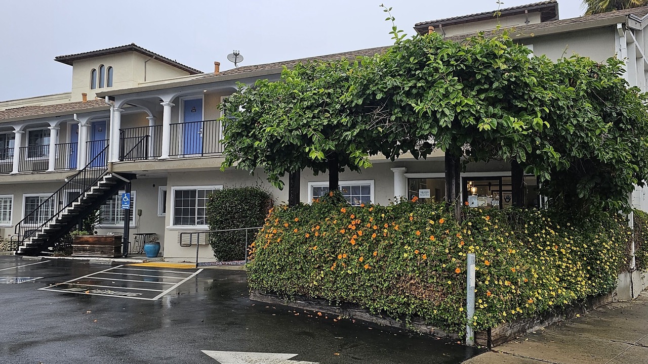 Photo of Outdoor in Westside Santa Cruz