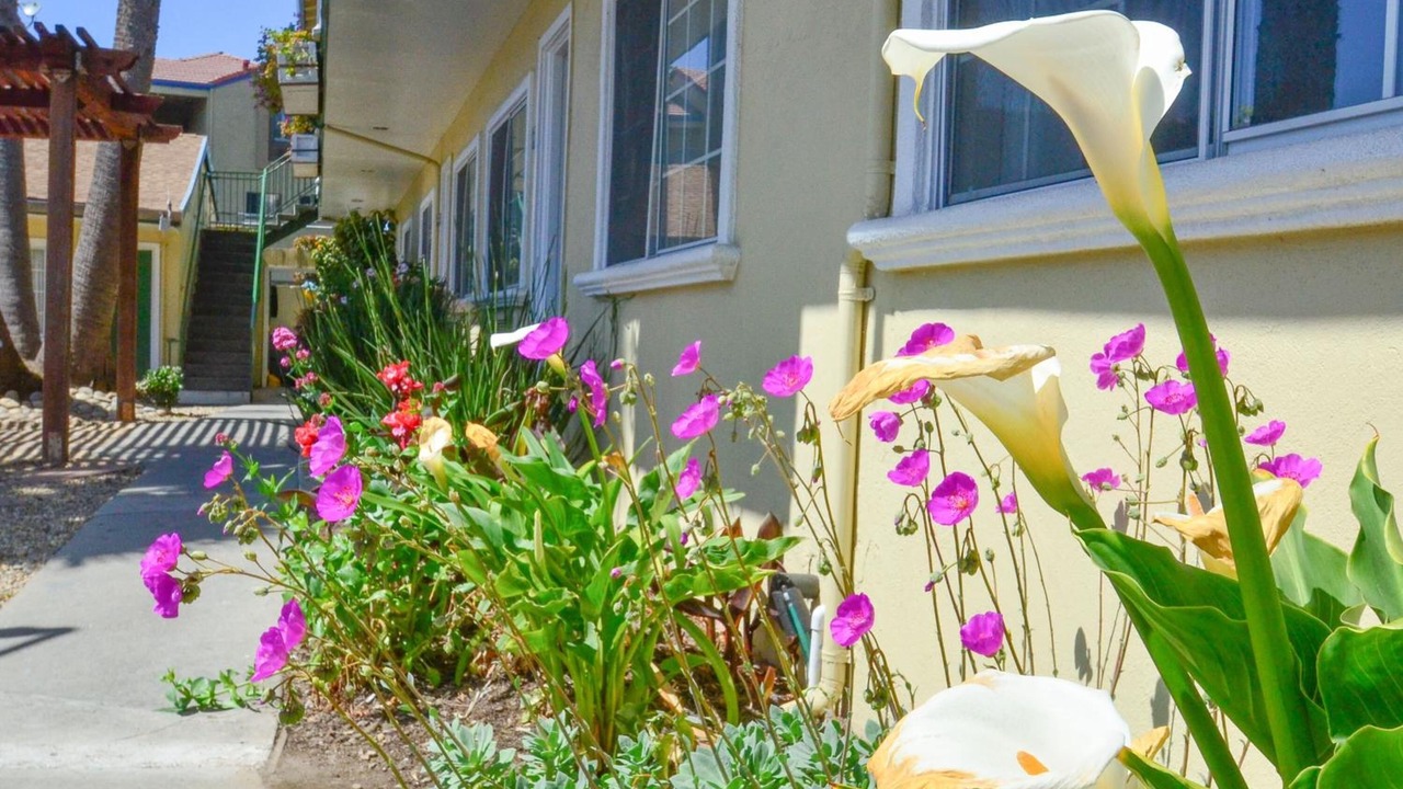 Photo of Outdoor in Westside Santa Cruz