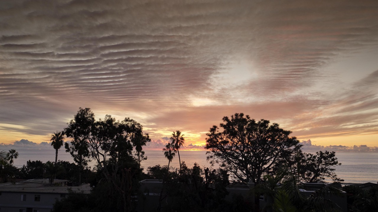 Photo of Outdoor in Del Mar