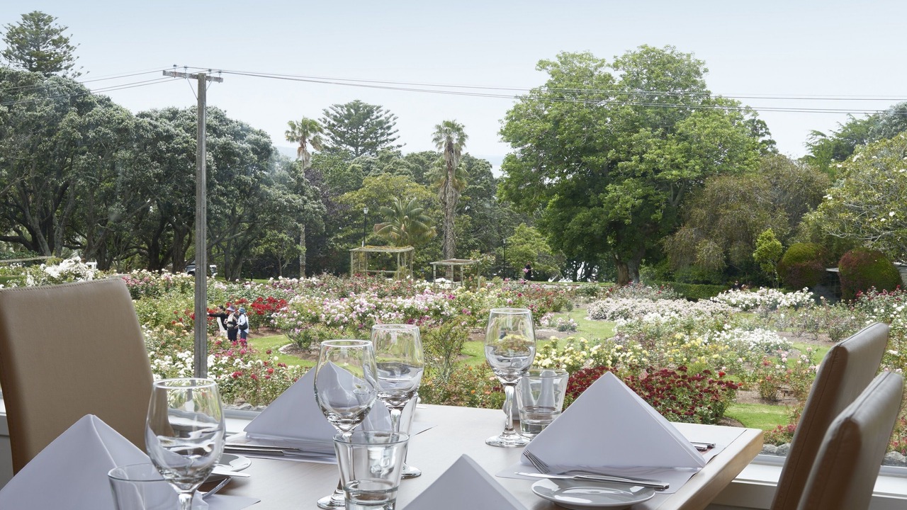 Photo of Outdoor in Parnell