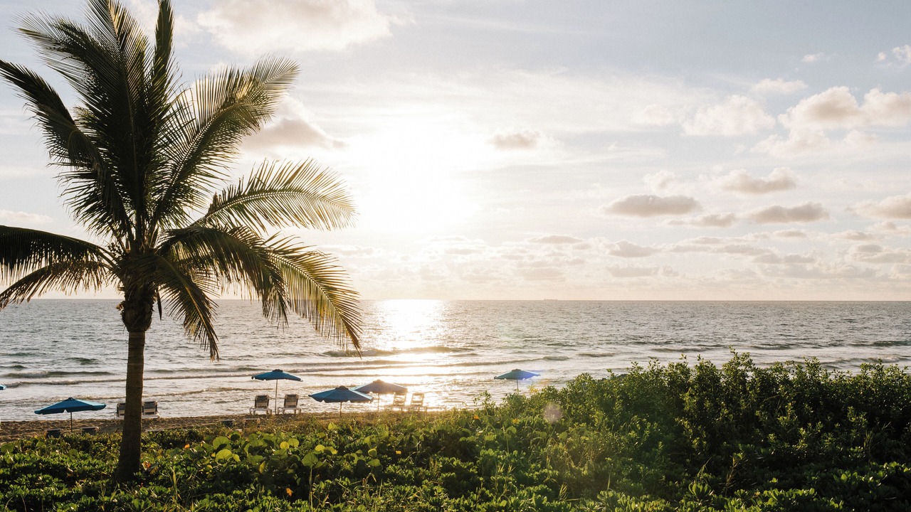 Photo of Others in Highland Beach