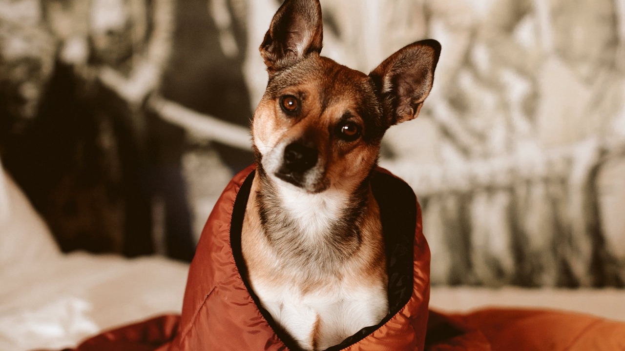 Photo of Others in Orchard District