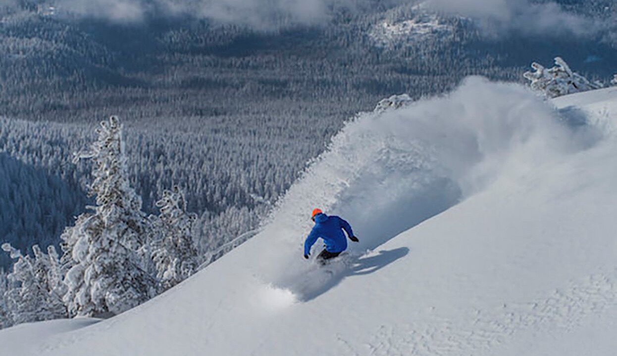 Photo of Others in Orchard District