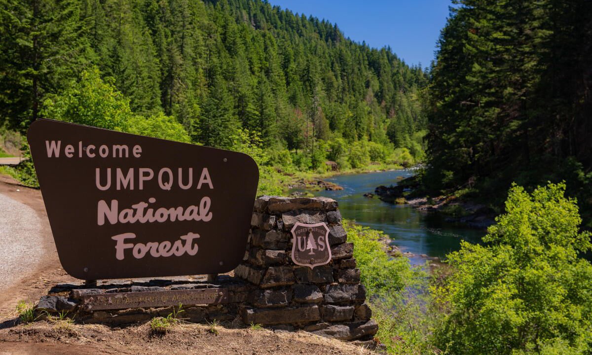 Photo of Others in Oakridge