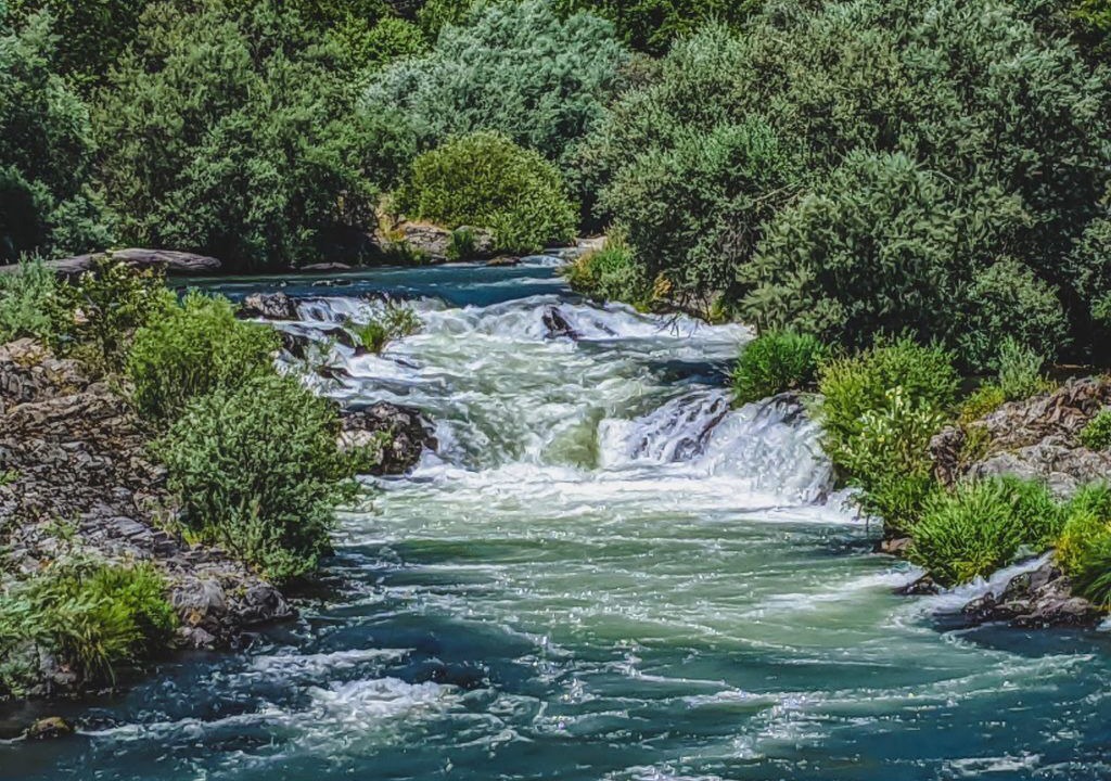 Photo of Others in Oakridge